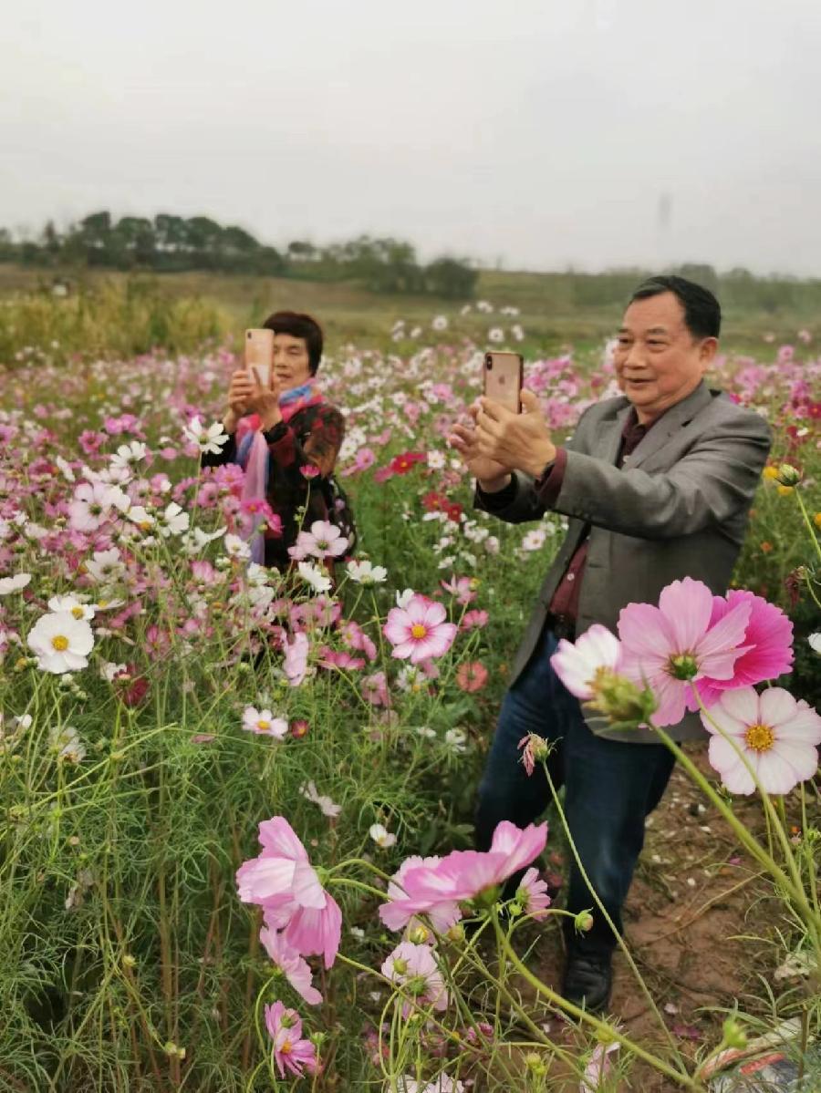 毛壮男与师专的学友聚会美好留念（图28）