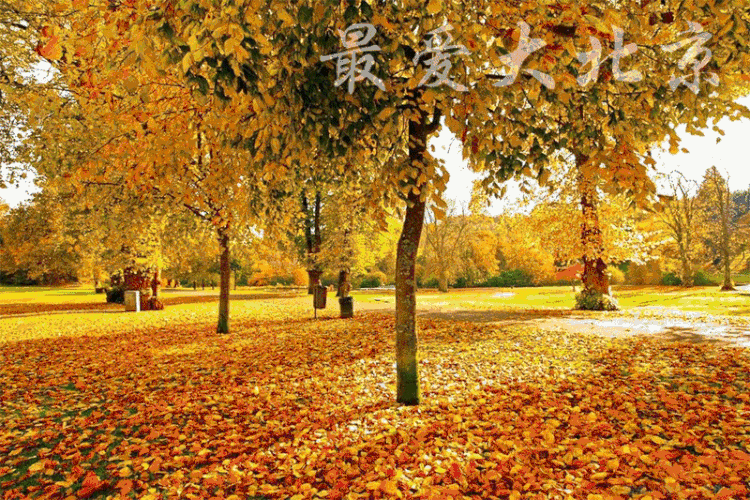 【北京头条】分享梦飞《上合颂（青岛胶州新区）》请欣赏（图5）