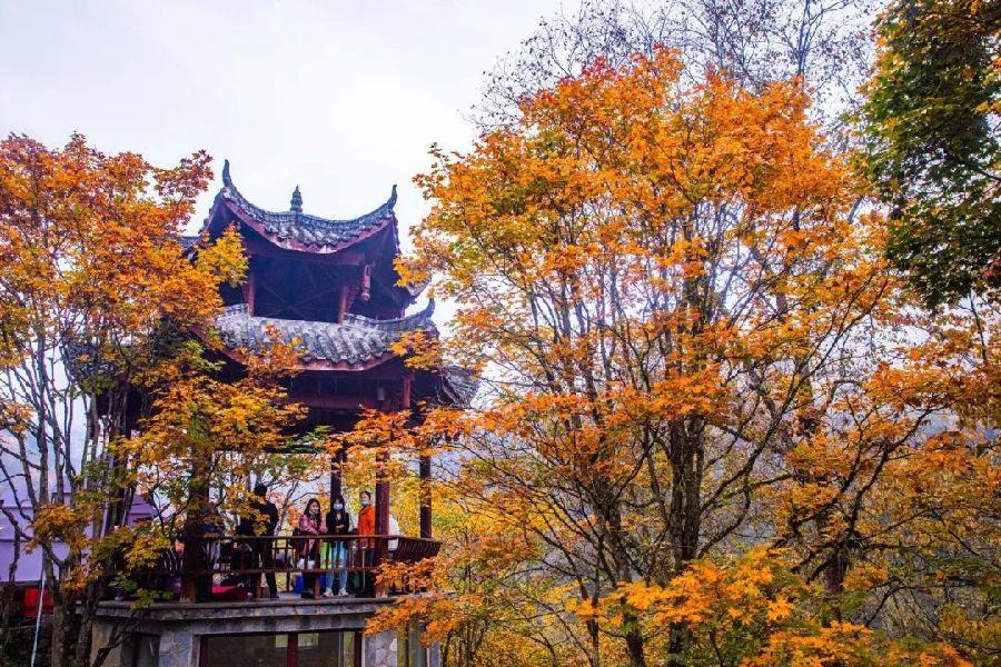 【北京头条】分享梦飞《上合颂（青岛胶州新区）》请欣赏（图4）