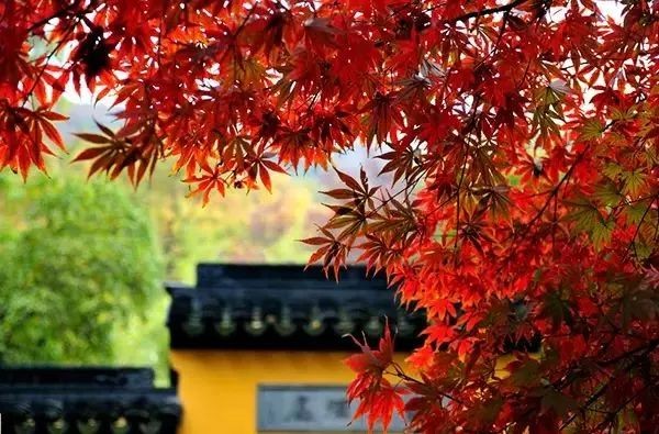 【中国长江文学社】《追梦点燃信念的火》作者吴乐平/诵读冬日艳阳、文亮、梅梅/制作宋梅【第4641期】（图9）