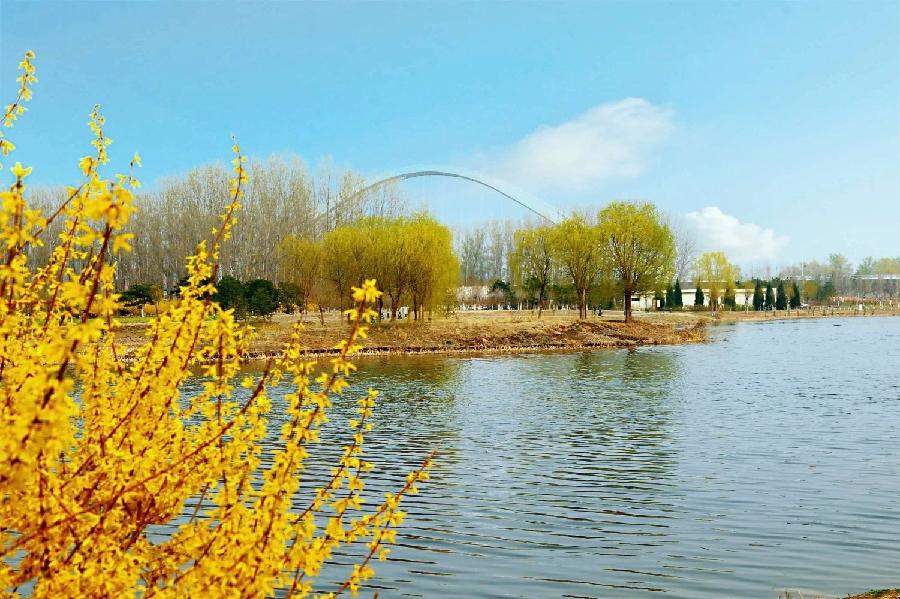 彦忠、溪流诗词两首 主播：傲雪红梅 编辑：小鱼儿 【北疆头条】（第334期）（图4）