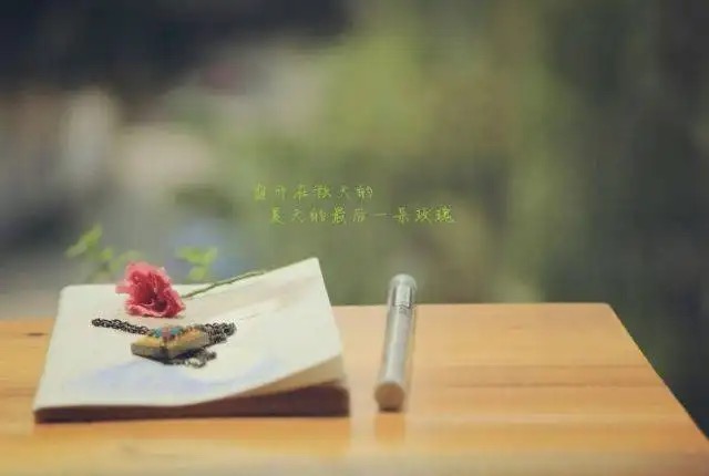 【新诗大观】错过不是错||文/花惜柔（图3）