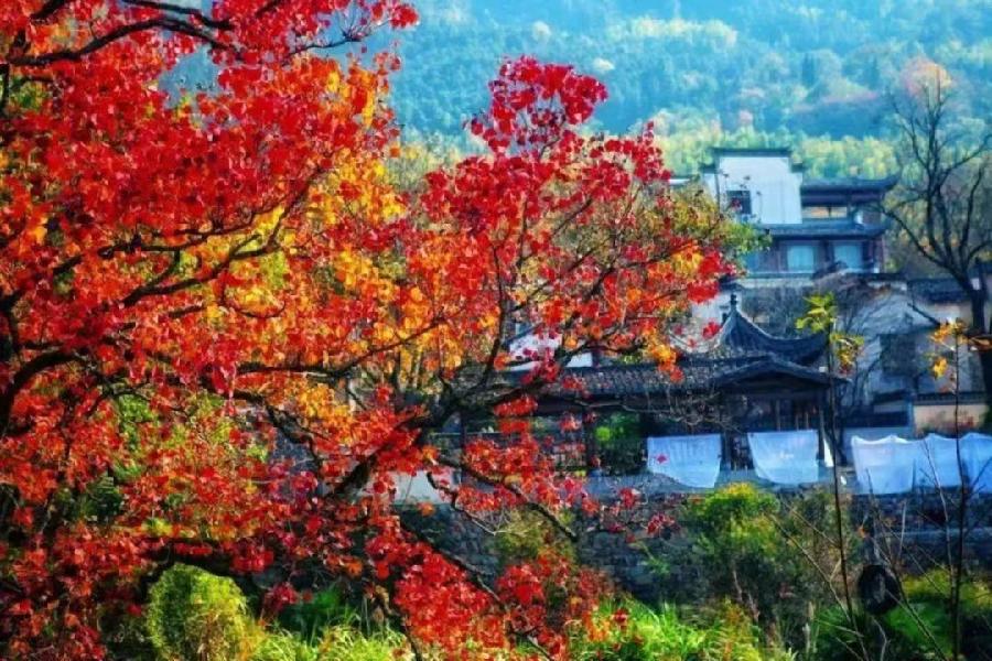 武庆森近作66首(图3)