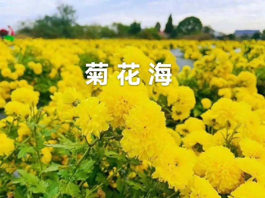 武庆森近作66首(图17)