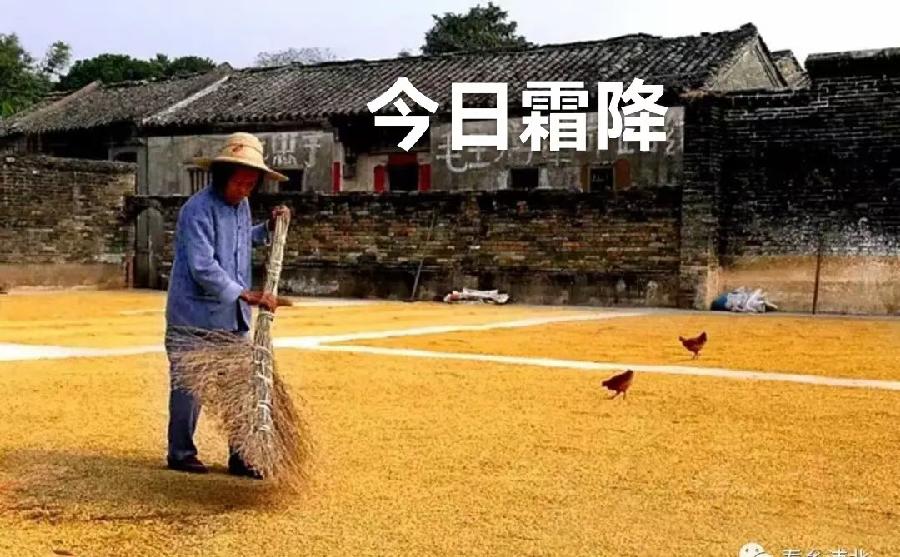武庆森近作66首(图20)