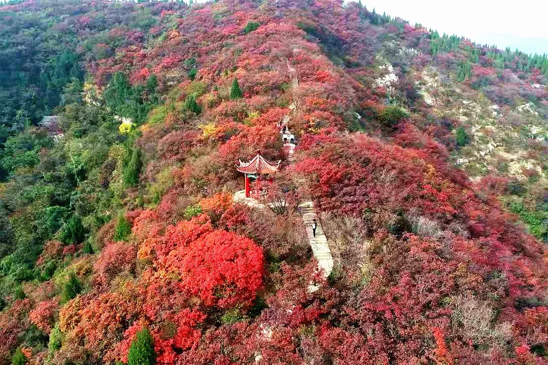 中华诗艺社黑龙江分社推介/郑占荣:秋醉诗心之八十九（图3）