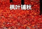 武庆森近作66首(图46)