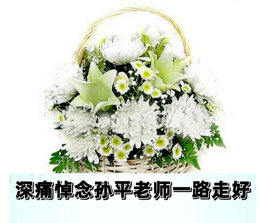《生与死的距离》——痛悼 孙平老师作者：刘伯华；诵读：梦露 编辑：香乡 【北疆头条】（第335期）（图2）