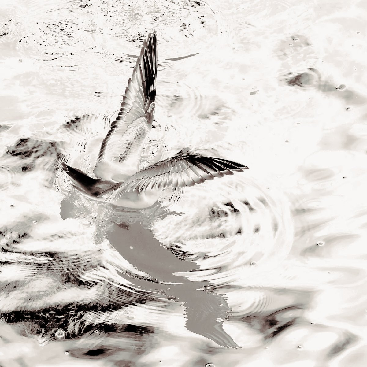 114706486.png image.png