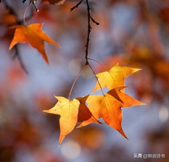 推荐 | 许日辉 七绝《壬寅暮秋感怀》十二首(图3)