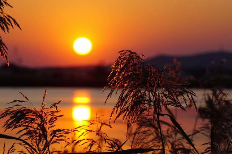 推荐 | 许日辉 七绝《壬寅暮秋感怀》十二首(图5)