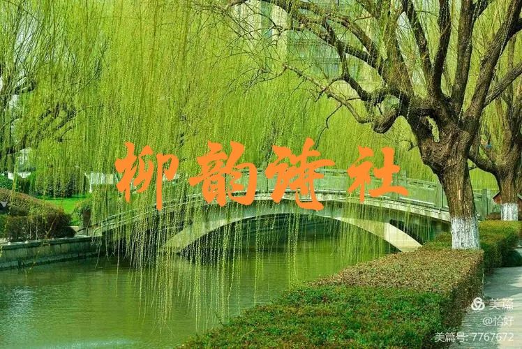 第五十一期 柳韵诗社每日古诗诵读（64）
