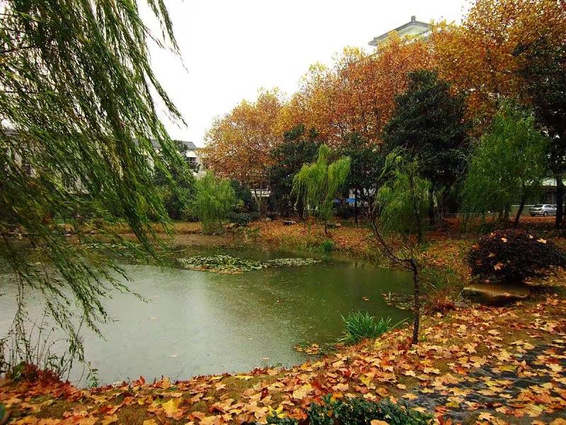 诗人于金奎:七律·暮秋公园池塘（下平二萧）（图5）