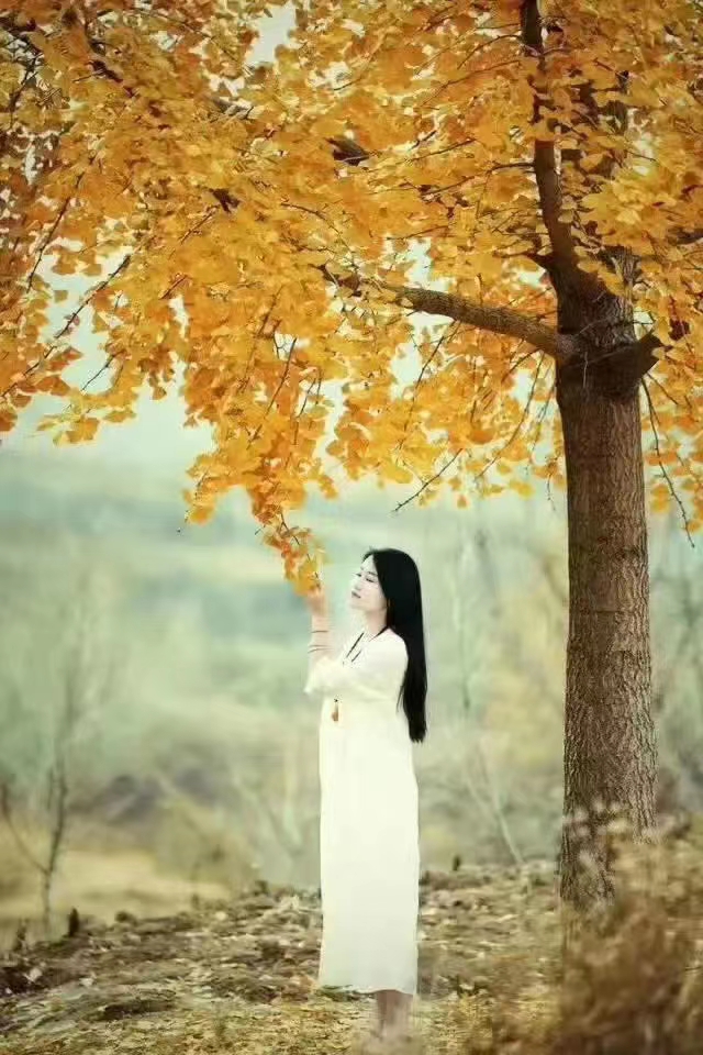 画个暮秋中年 文/小蛇 （天津）（图3）