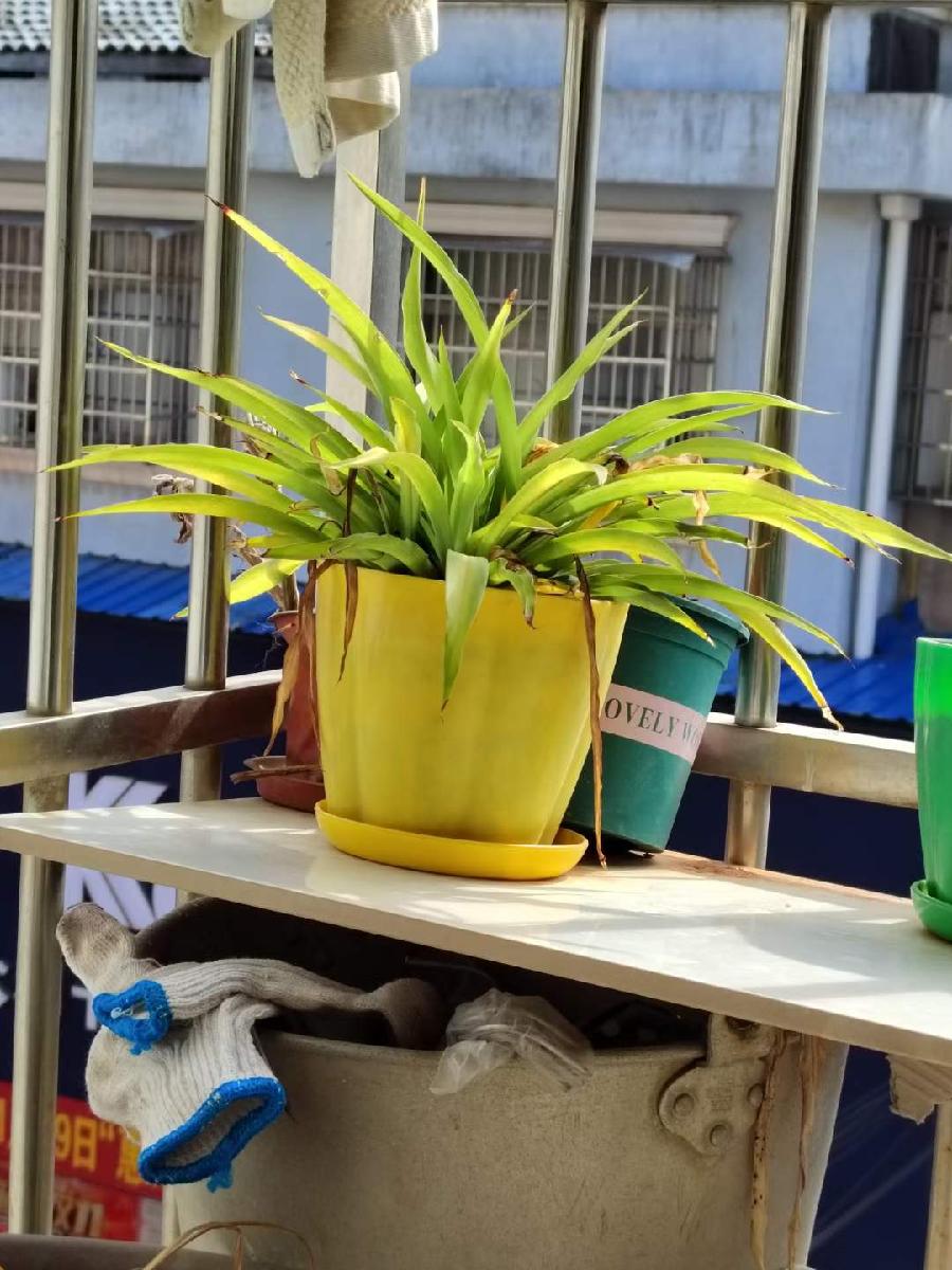 推荐书法家道可诗余斯文:送秋迎冬 兼和江东艾草《七律·晚秋忧怀》（图9）