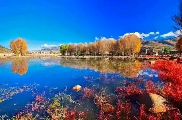 胡向前（湖北）散文诗* 清泉流响处【冰心文化传媒】（图11）