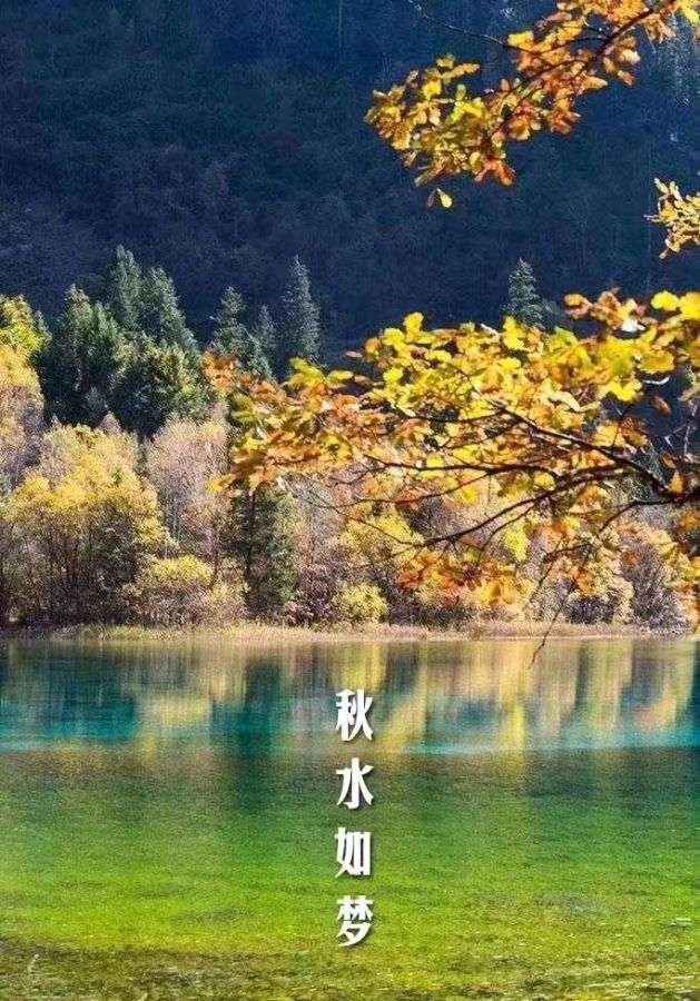胡向前（湖北）散文诗* 清泉流响处【冰心文化传媒】（图8）