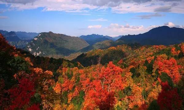 《秋天的情怀》作者：杨炳阳（图3）