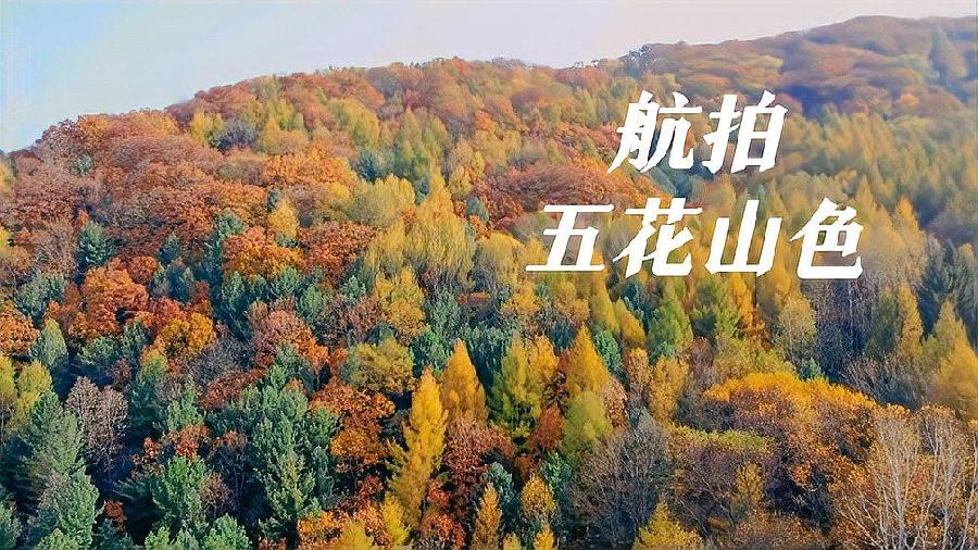 【中国齐鲁风诗词社】分享优秀诗人方亮老师《秋后五花山》外一首请欣赏（图4）