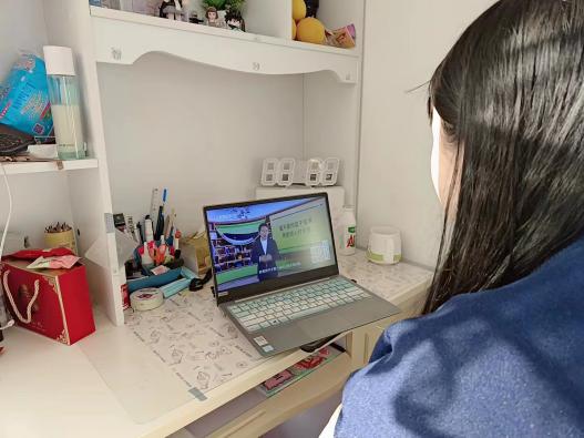 东至大渡口新康幼儿园组织收看中小学家庭教育讲座专题节目(图7)