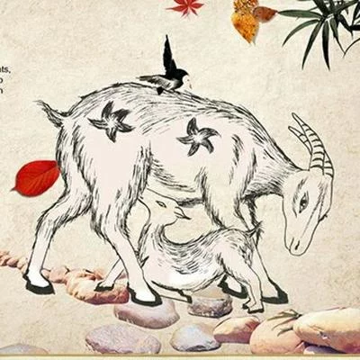《孝感动天》主题晚会（图5）
