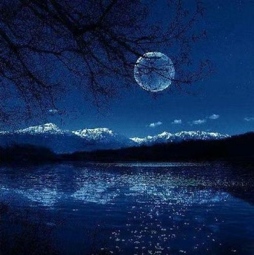《云安客先生-诗选》江南诗絮文化中心(图6)