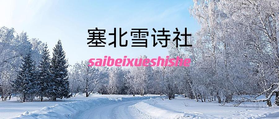 塞北雪诗社优秀作品欣赏(一)（图6）