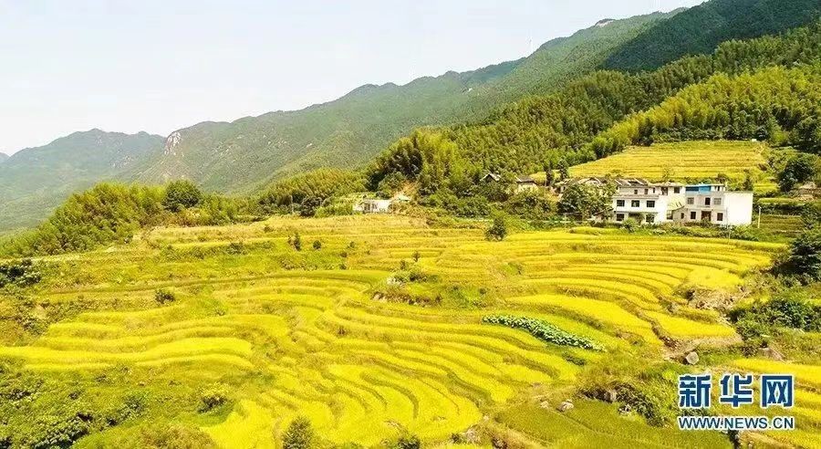 《九江文学社：北京头条》《感赋神秘沙漠—月牙泉》外八首 文/秦大戈等（图6）