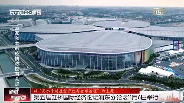 满路花-第五届进博会暨虹桥国经论坛开幕之际* 文/冯志清（上海）【冰心文化传媒】（图3）