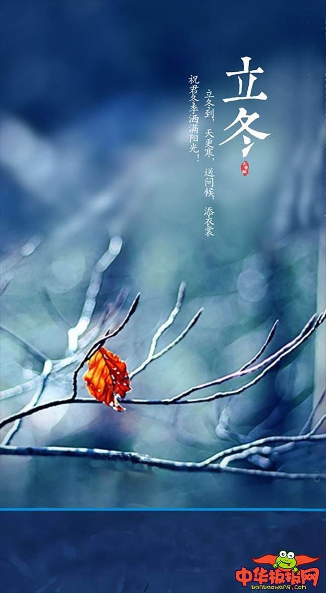 【潇湘文学社】潇湘陶菊诗社《总480期》(立冬)(图8)