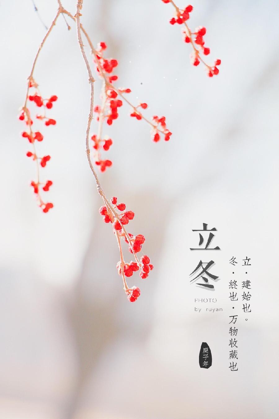 【潇湘文学社】潇湘陶菊诗社《总480期》(立冬)(图10)