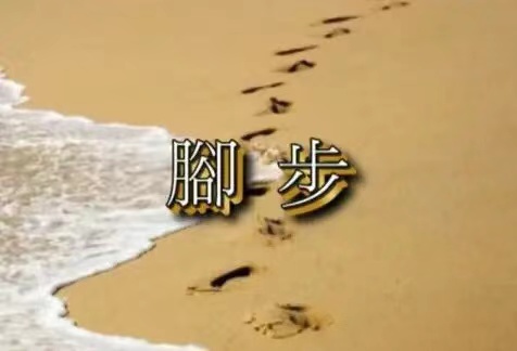 【北美翰苑】海燕国际艺术传媒联合推出‖唐闹闹（美国）的作品（七十）（图8）