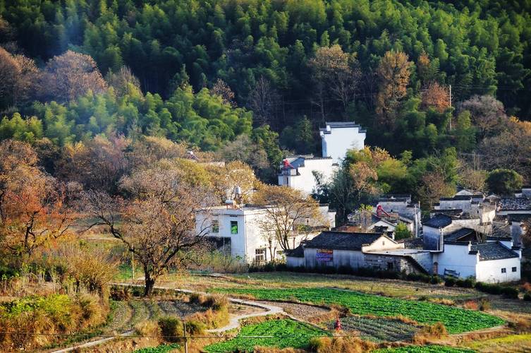 【金榜头条】分享优秀诗人周留成诗词选集请欣赏(图5)