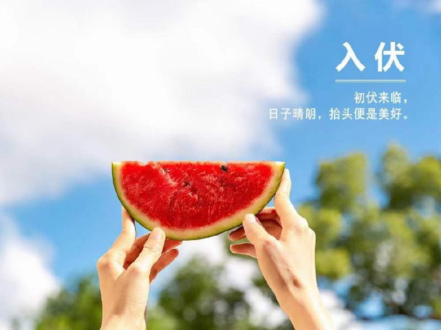 宁夏诗人于金奎七律十五首欣赏(2022年7月17日—31日)（图4）