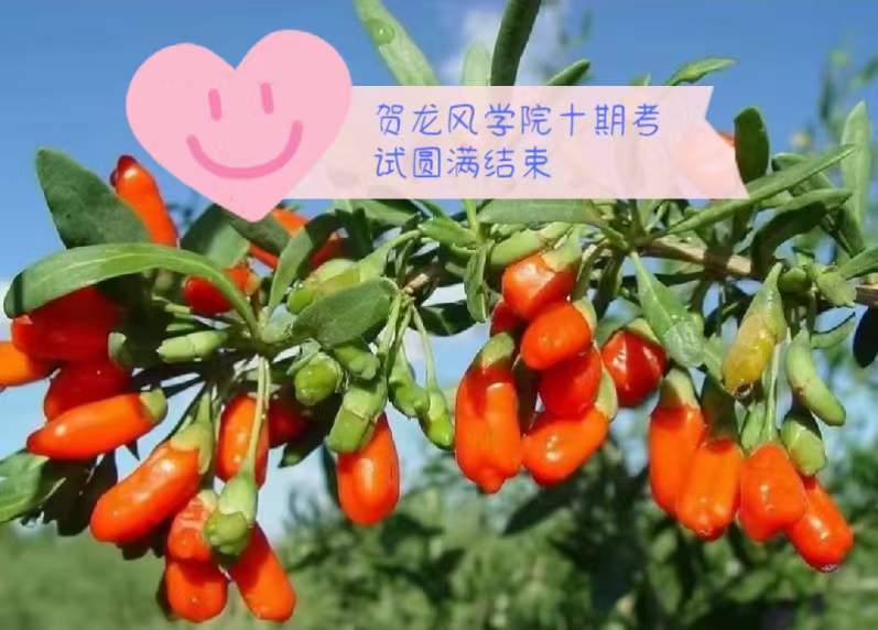 宁夏诗人于金奎七律十五首欣赏(2022年7月17日—31日)（图6）