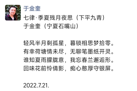 宁夏诗人于金奎七律十五首欣赏(2022年7月17日—31日)（图9）