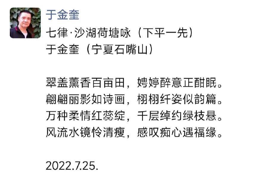 宁夏诗人于金奎七律十五首欣赏(2022年7月17日—31日)（图18）