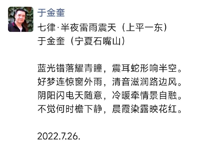 宁夏诗人于金奎七律十五首欣赏(2022年7月17日—31日)（图20）