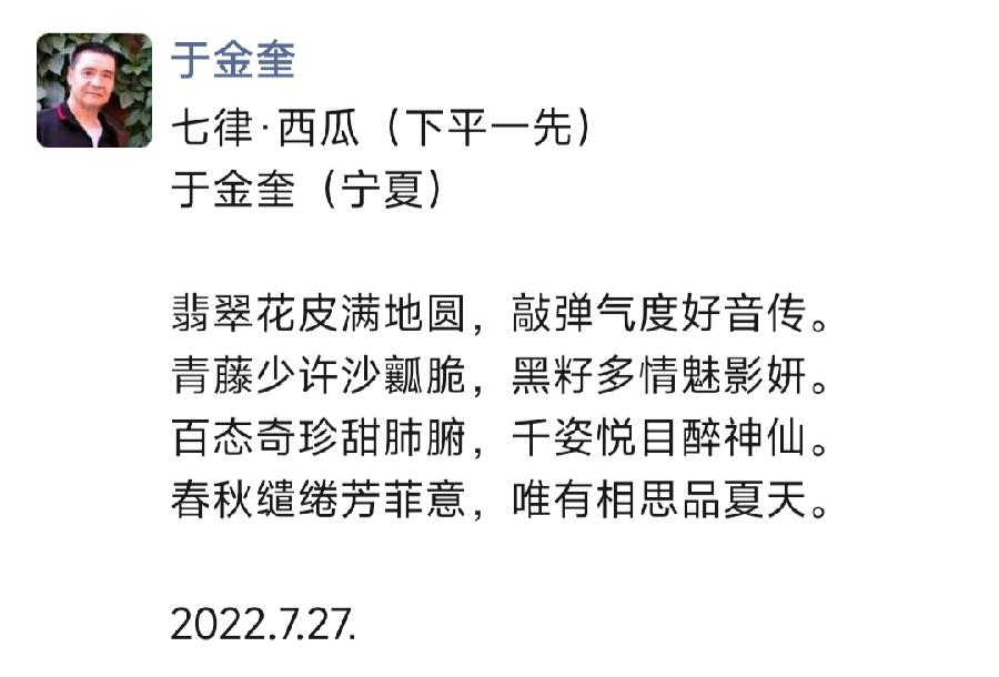 宁夏诗人于金奎七律十五首欣赏(2022年7月17日—31日)（图22）