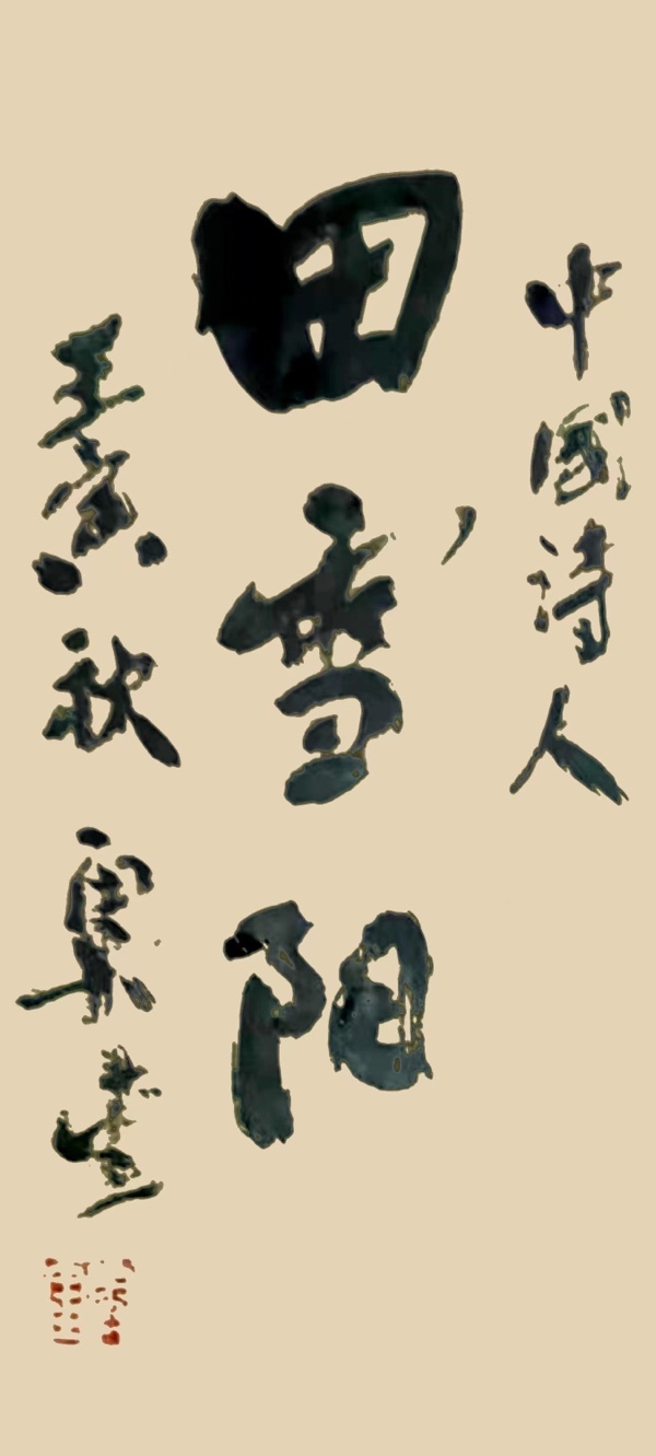 【欧洲总社】第18期‖世界诗人名人展‖青年诗人田雪阳专辑‖诗评l独孤九醉‖主持&朗诵l何婧（图3）