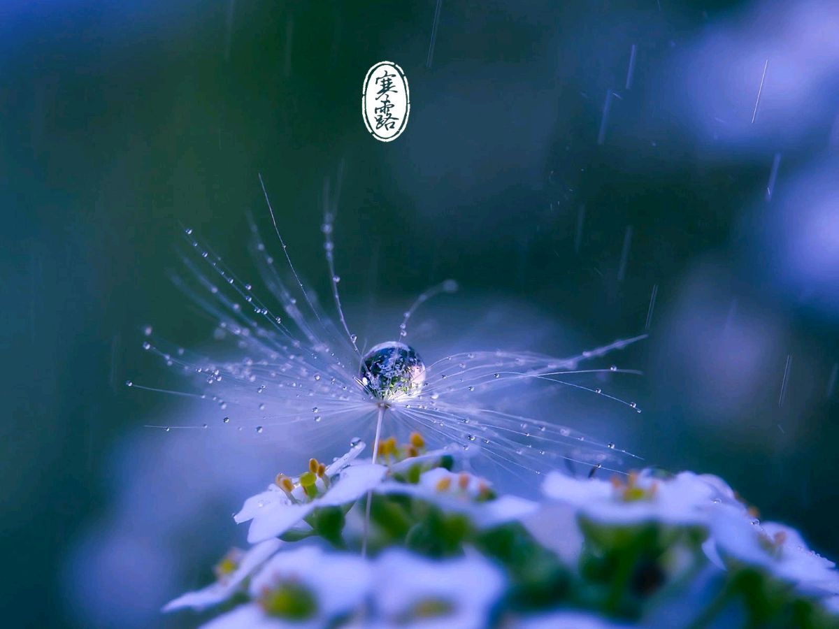 〖诗词专辑一〗诗人 王仲飞（北京）【冰心文化传媒】（图8）