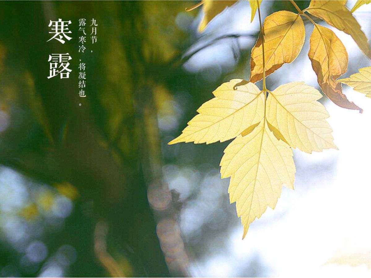 〖诗词专辑一〗诗人 王仲飞（北京）【冰心文化传媒】（图9）