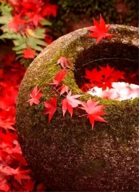 〖诗词专辑一〗诗人 王仲飞（北京）【冰心文化传媒】（图11）