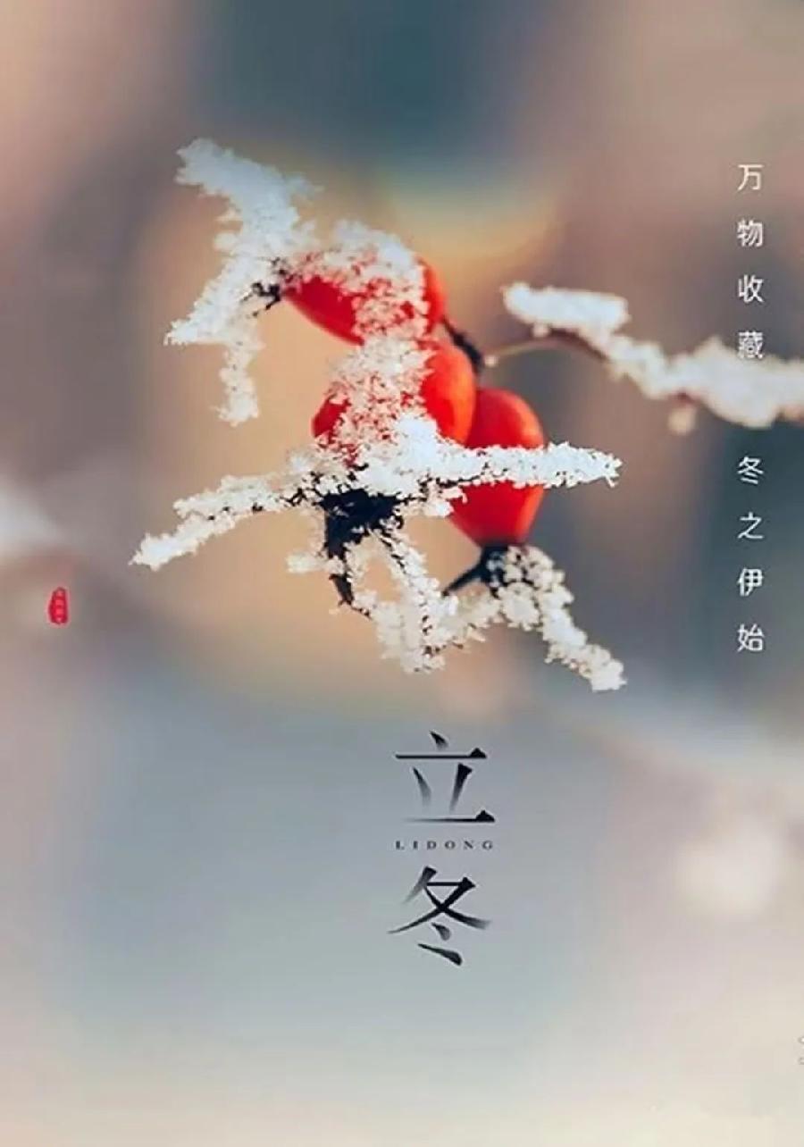 【都市头条向幸福出发编辑部】第524期 立冬 文／秋歌（图3）