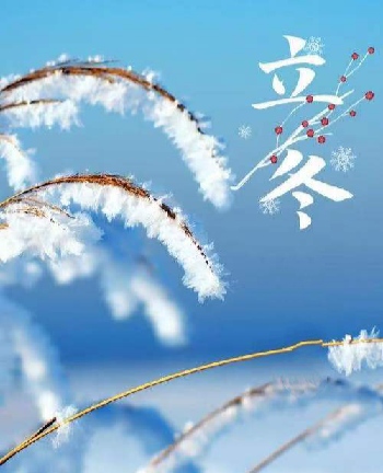 中华诗艺社黑龙江分社推介/诗人林杨:立冬（图8）