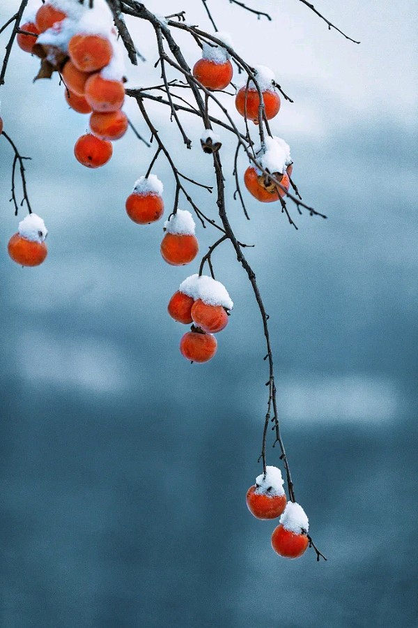 立冬节的遐想（图3）