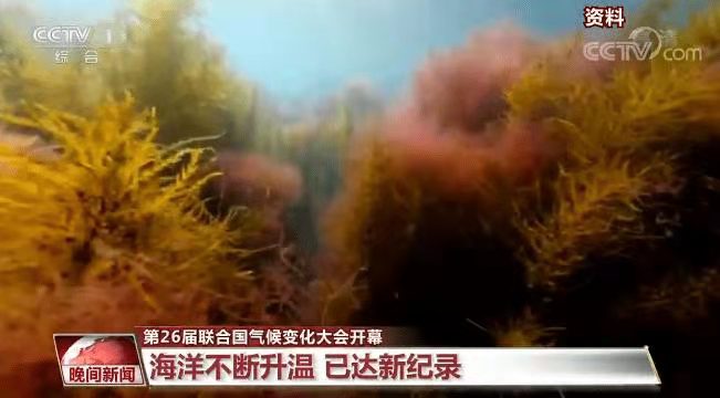 恨来迟-联合国气候大会应聚焦“落实” 文/冯志清（上海）【冰心文化传媒】（图12）