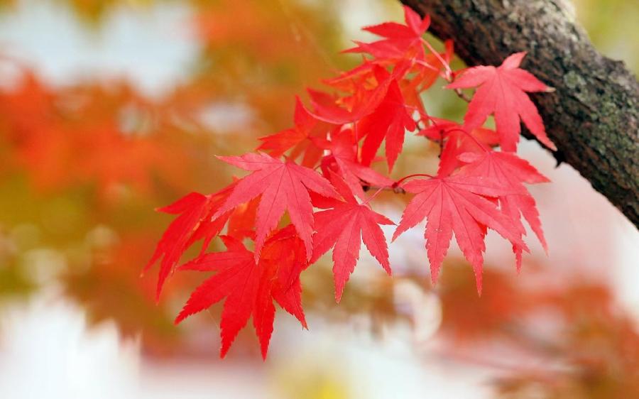 《江南诗絮文化中心》0572期-现代诗苑(图7)