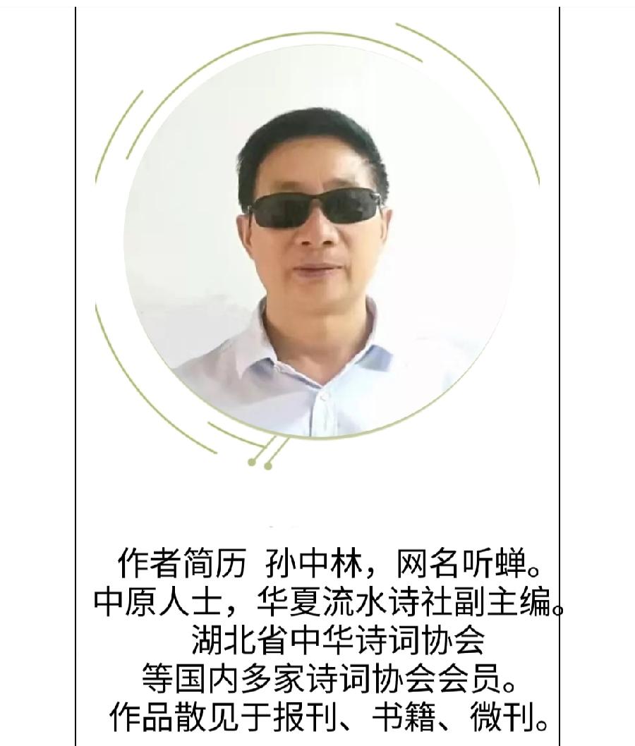 华夏流水诗社‖常驻诗人听蝉老师专辑(图17)
