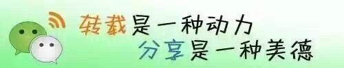 【卓然艺术联盟】毛主席诗词《七律•人民解放军占领南京》 诵读：王化民（第422期）（图41）